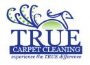 Carpet & Air Duct Cleaning – The Woodlands TX Logo